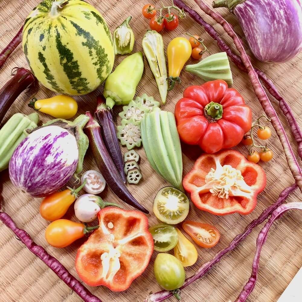 野菜　収穫　家庭菜園