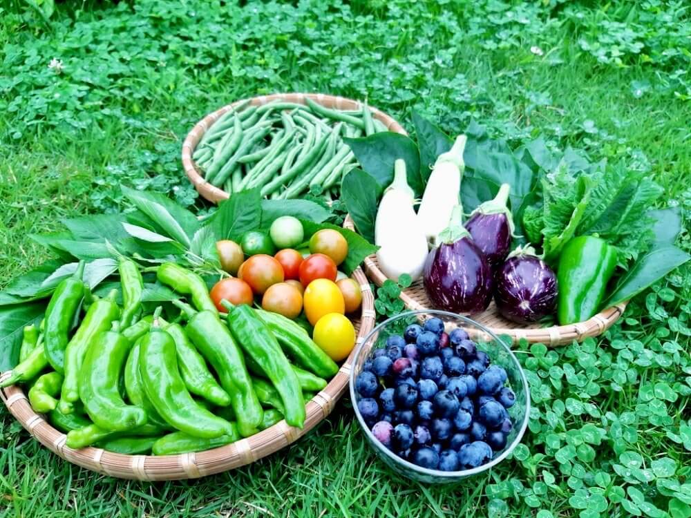 春植え 春まき野菜 初心者でも簡単に栽培できる種類15選 Greensnap グリーンスナップ