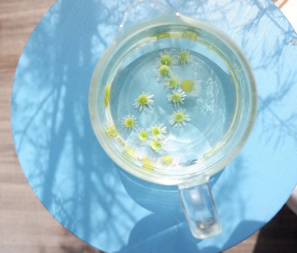 ジャーマンカモミール