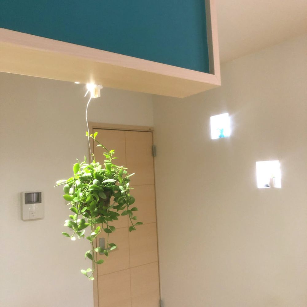 ディスキディア