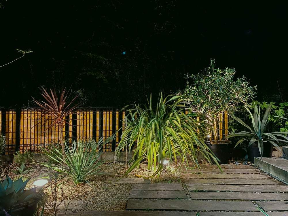 ニューサイラン