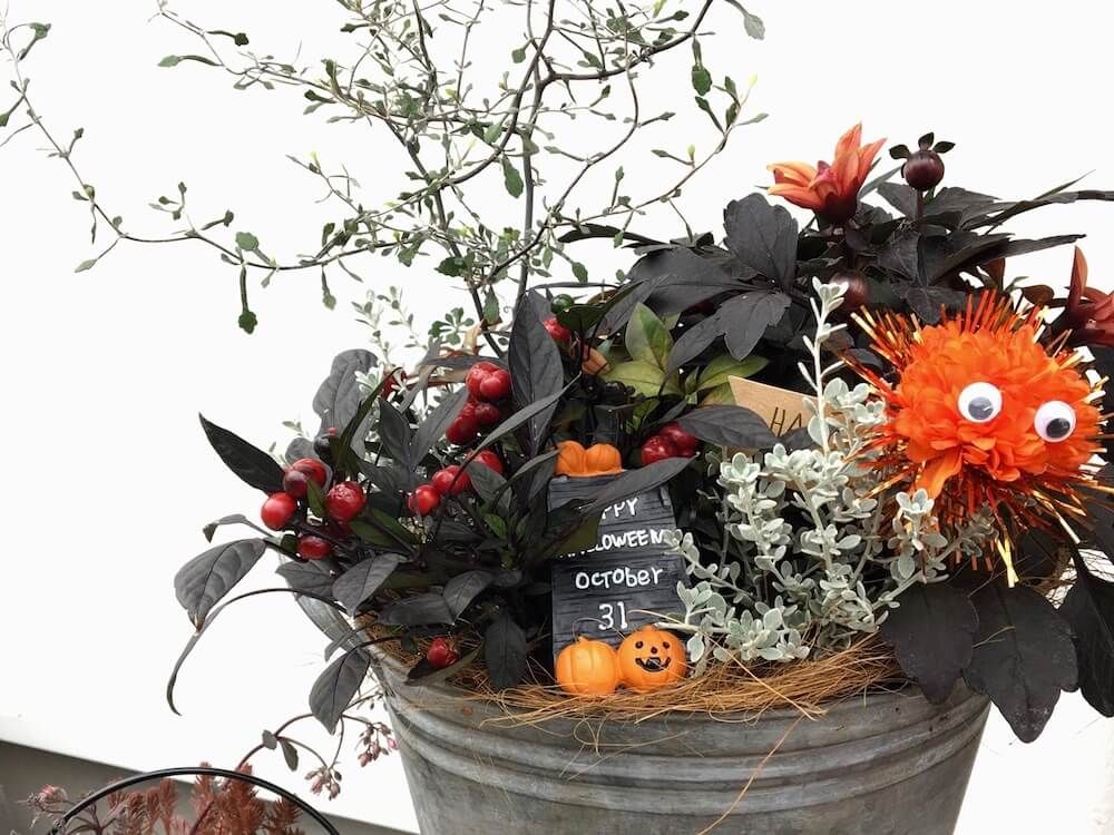 ハロウィン　寄せ植え　アレンジ