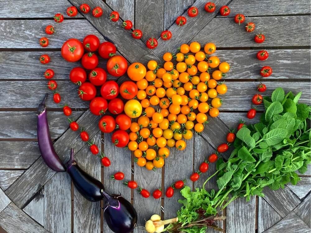 家庭菜園　野菜　収穫