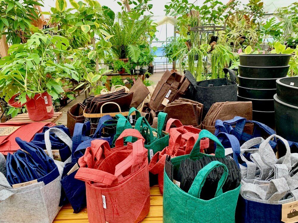 ルーツポーチ　プランター　観葉植物