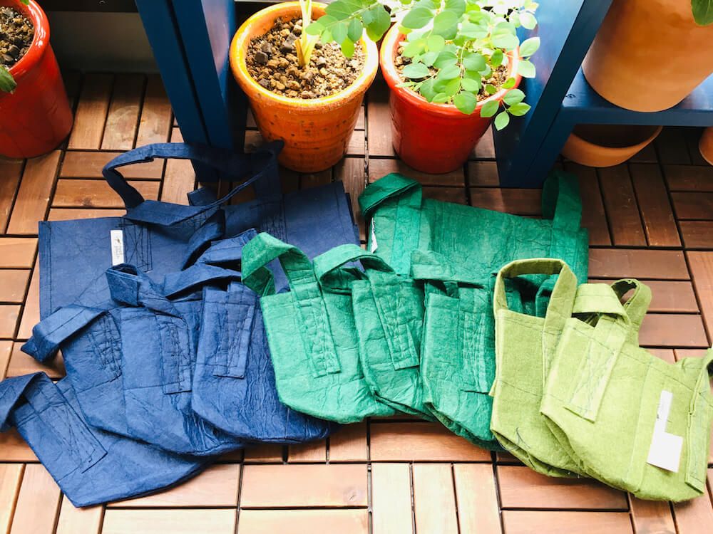 ルーツポーチ　プランター　観葉植物