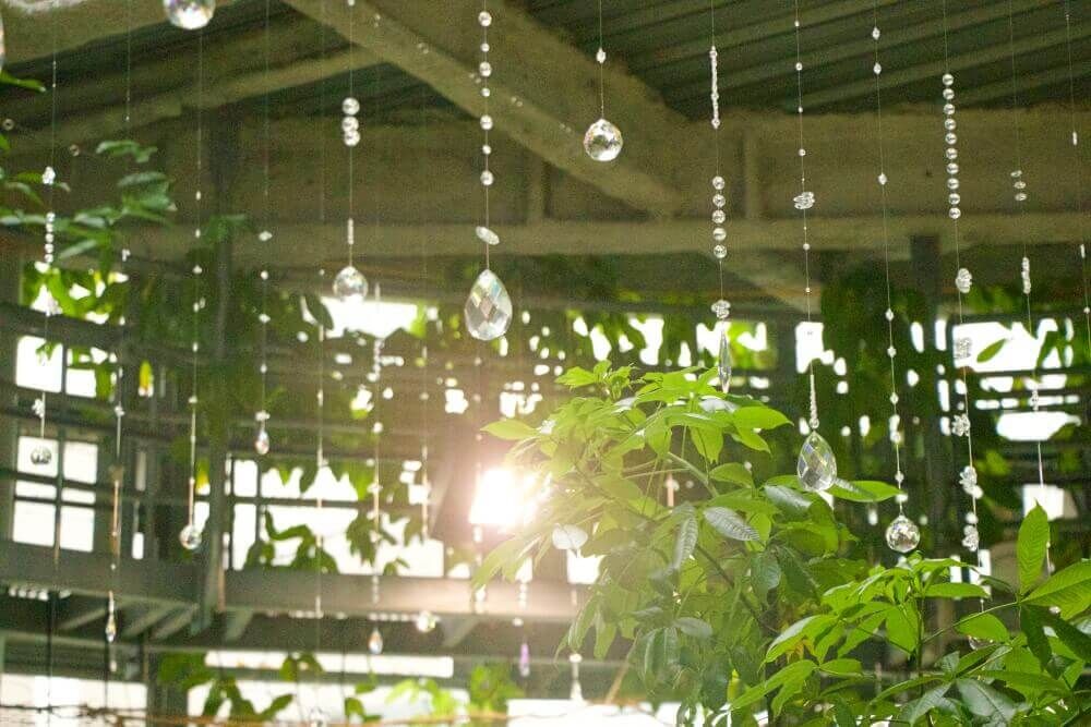 渋谷区ふれあい植物センター