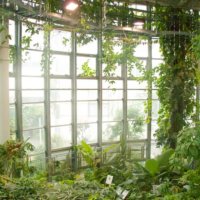 日本で一番小さい植物園？ 「渋谷区ふれあい植物センター」へ行ってみたの画像