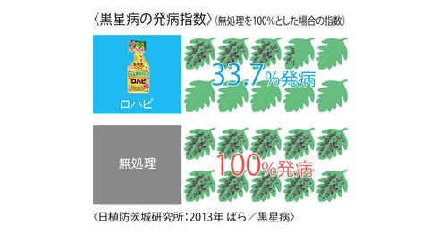 バラ栽培に 食品原料由来の殺虫剤 ロハピ の魅力と使い方 Pr Greensnap グリーンスナップ