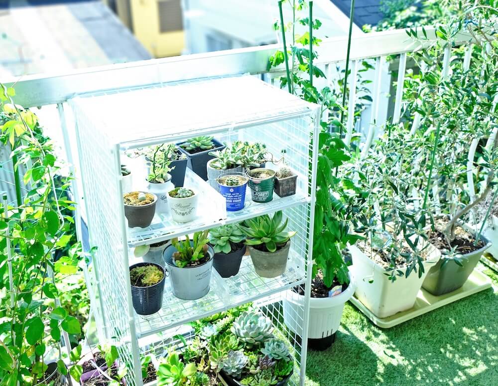 アウトドア ガーデニング PE素材 温室 ビニールハウス フラワースタンド ガーデンハウスカバー 3段 花園 鉢植え 家庭用 農用 - 2