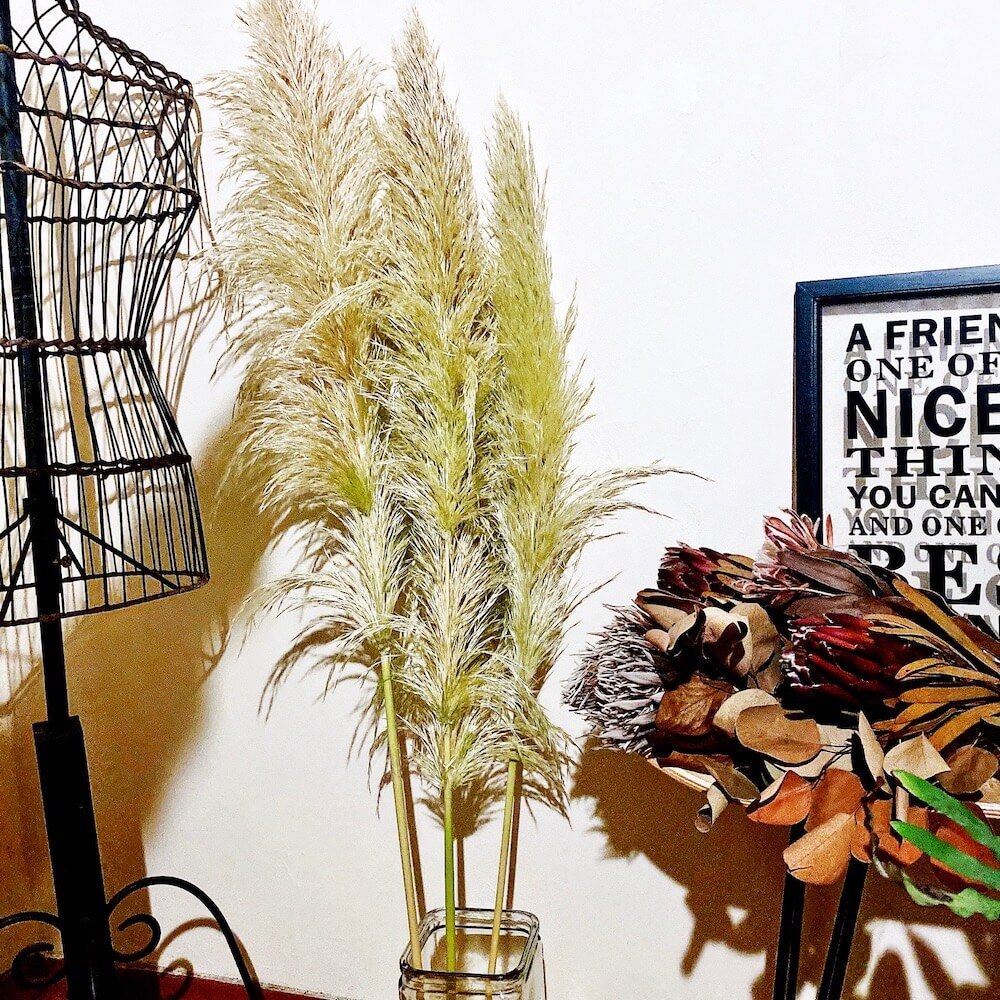 パンパスグラス　ドライフラワー　インテリア　アレンジ　作り方