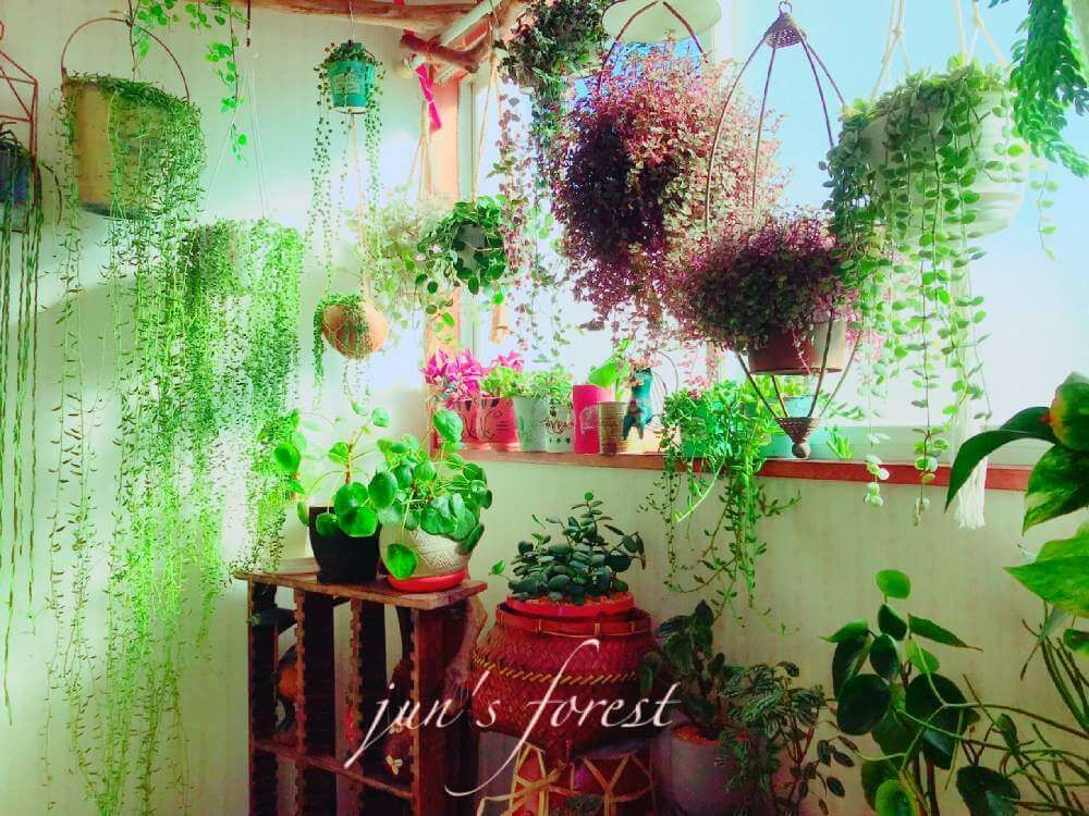 グリーンネックレス