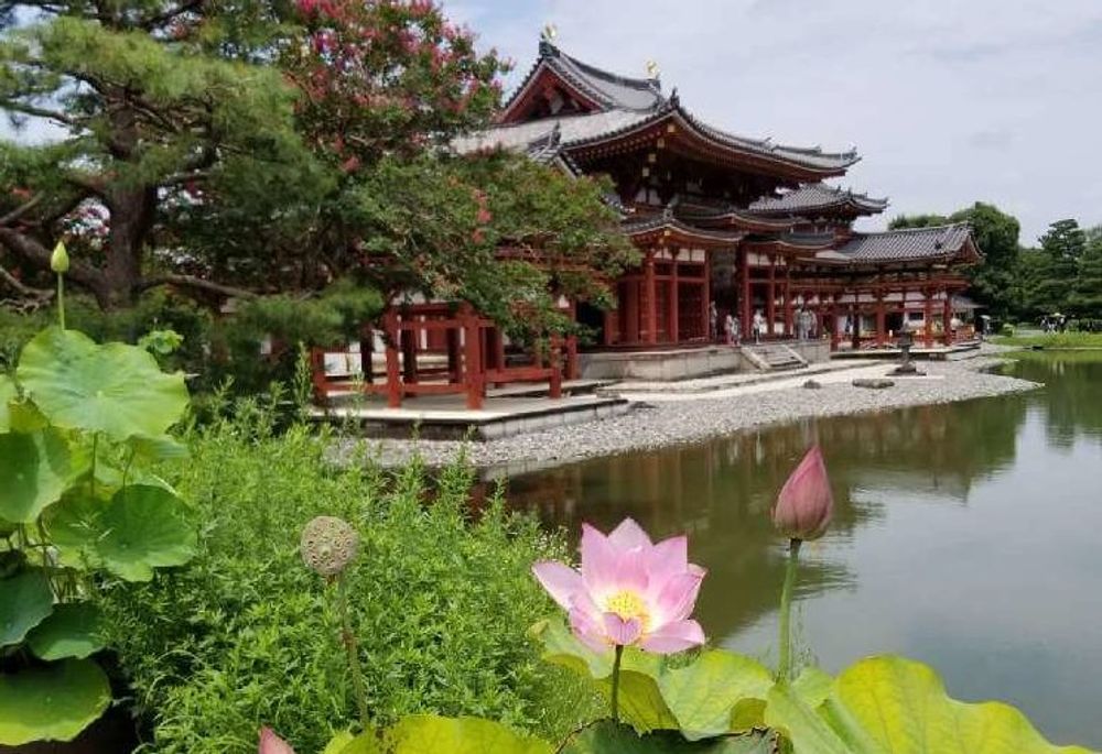 ハスとお寺
