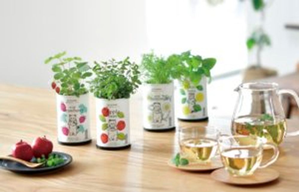 ワイルドストロベリー