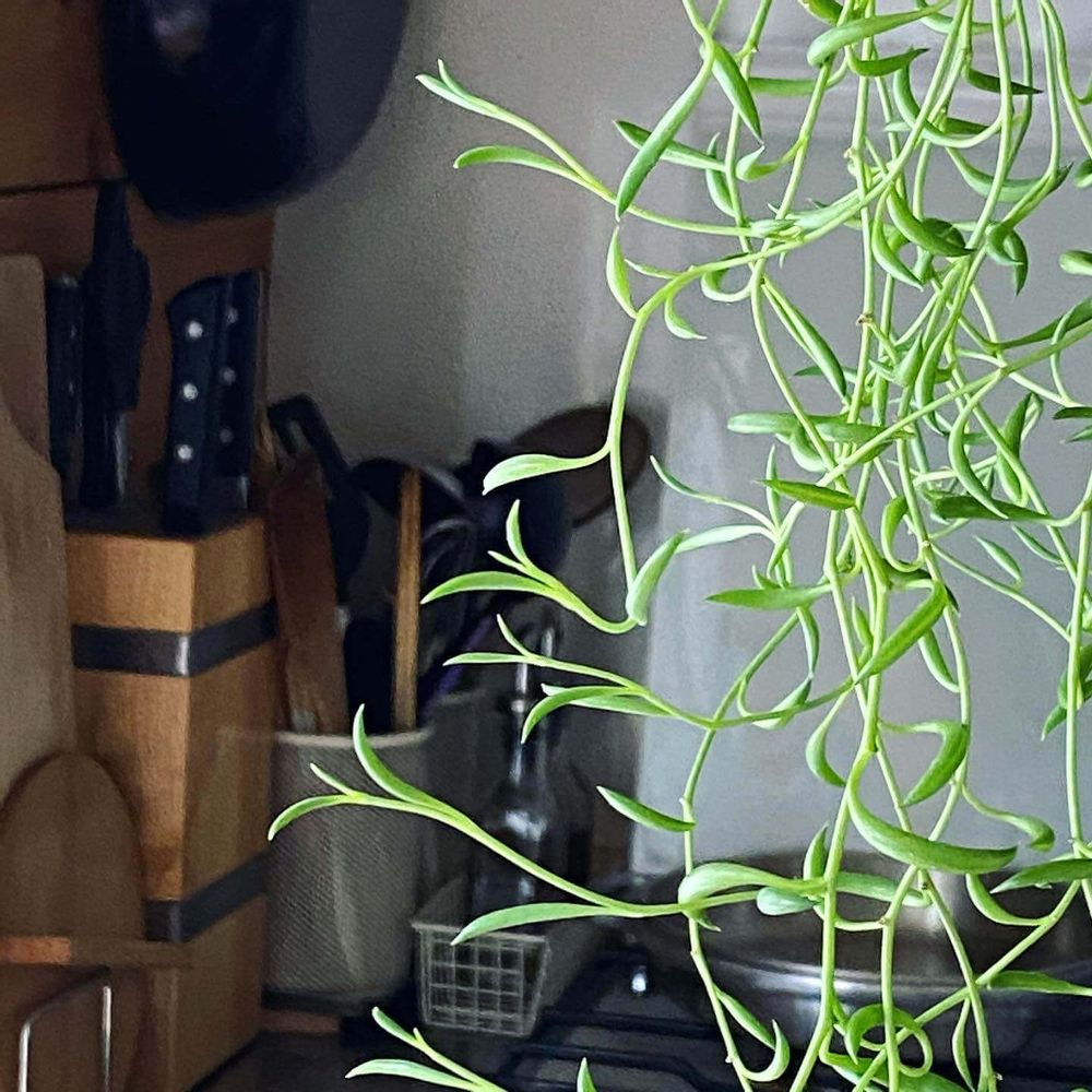 三日月ネックレス