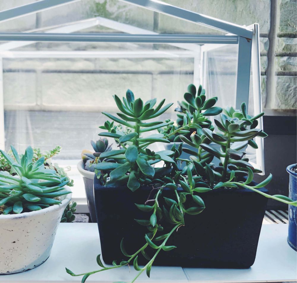 三日月ネックレス