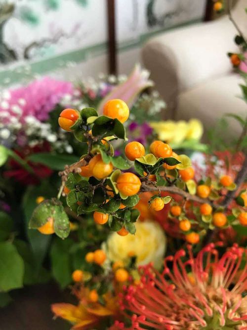 ツルウメモドキの花言葉 花や実の特徴 盆栽がおすすめ Greensnap グリーンスナップ