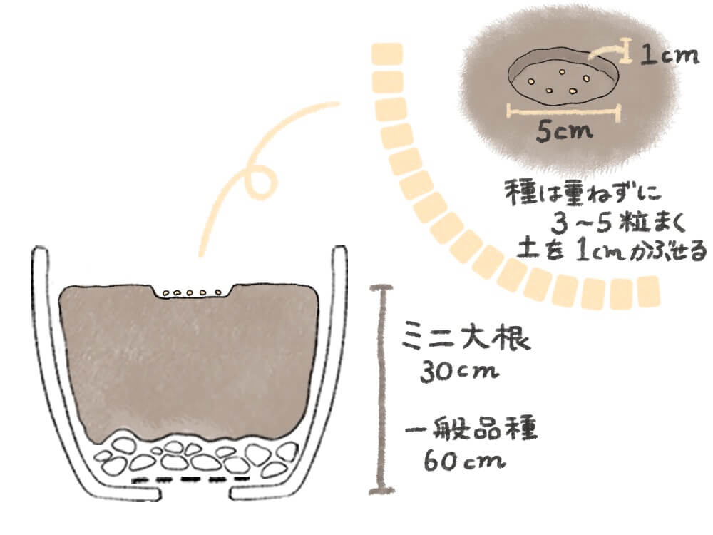 ダイコン 大根 の栽培 育て方 種まきの方法は 間引きや収穫時期はいつ Greensnap グリーンスナップ ダイコン 大根 の栽培 育て方 種まきの方法は 間引きや収穫時期はいつ Greensnap グリーンスナップ
