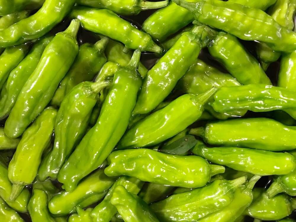 シシトウ　家庭菜園　収穫　野菜