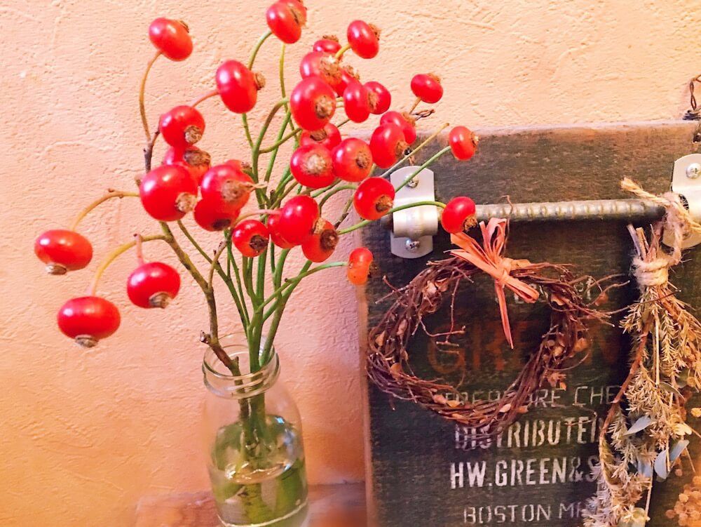 バラの実　ローズヒップ　秋　実もの