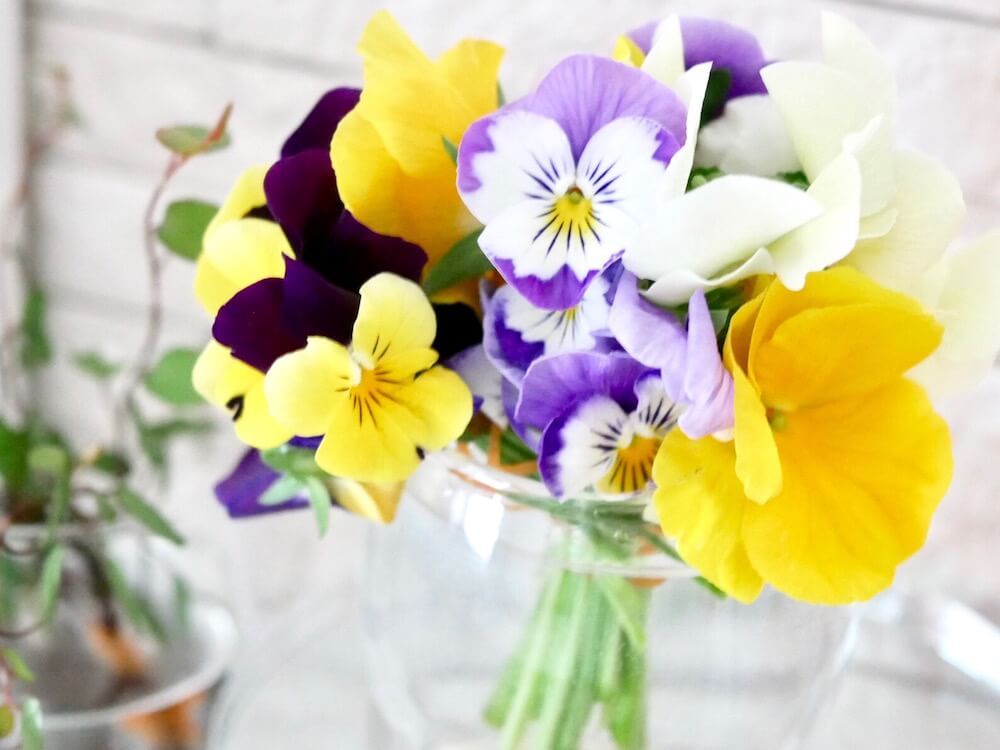 ビオラ　パンジー　花瓶