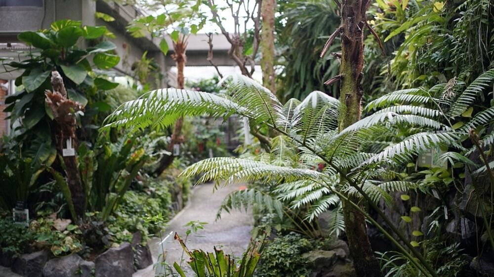 撮影場所＠福岡市植物園