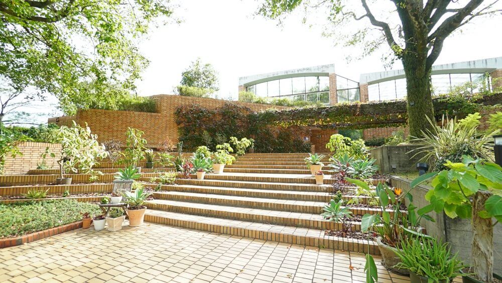 撮影場所＠福岡市植物園