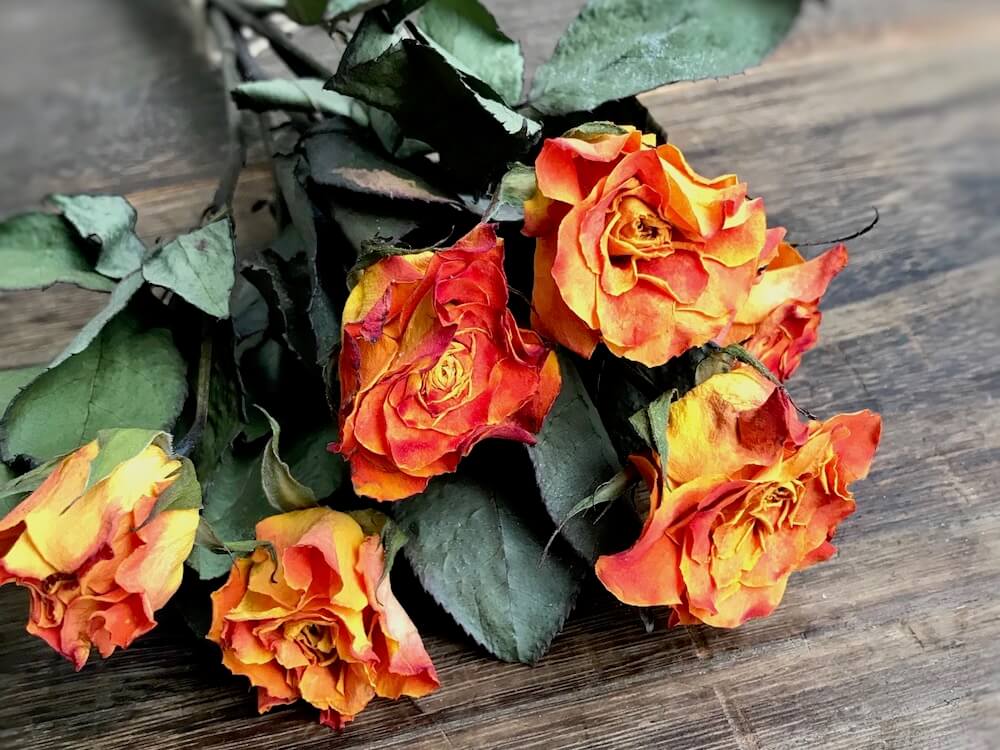 最も人気のある バラの花びら 乾燥 レンジ 誕生 日 ライン 友達