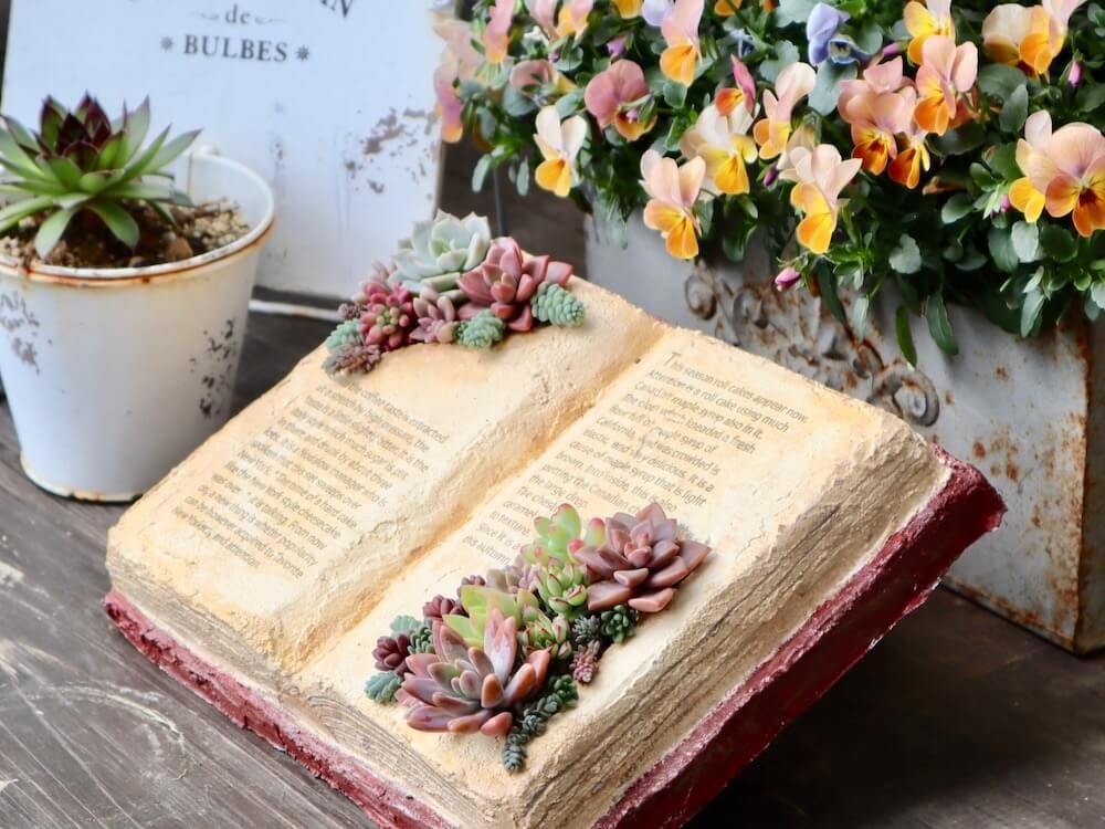 モルタルデコ　モルタル　DIY　多肉　寄せ植え　多肉植物