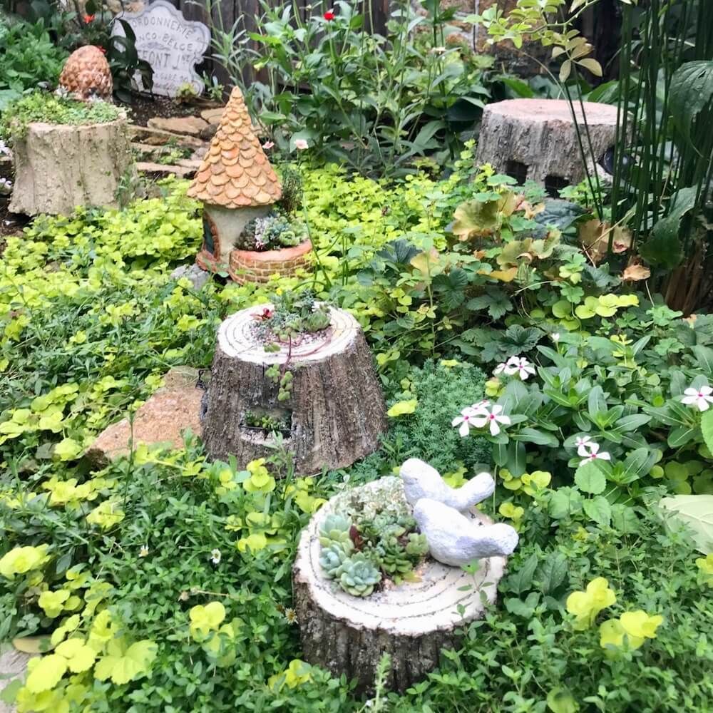 モルタルデコ　モルタル　DIY　多肉　寄せ植え　多肉植物