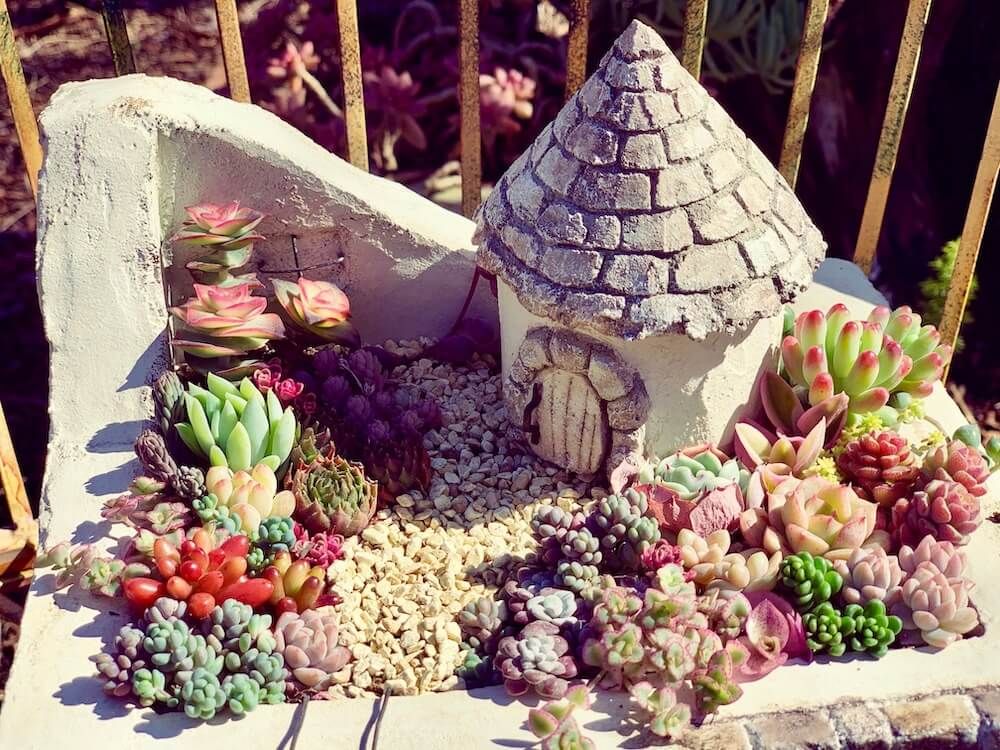 モルタルデコ　モルタル　DIY　多肉　寄せ植え　多肉植物