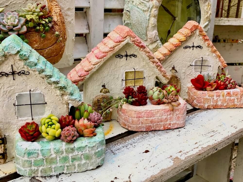 モルタルデコ　モルタル　DIY　多肉　寄せ植え　多肉植物