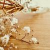 かすみ草のドライフラワー｜失敗しない作り方は？どんな飾り方がある？の画像
