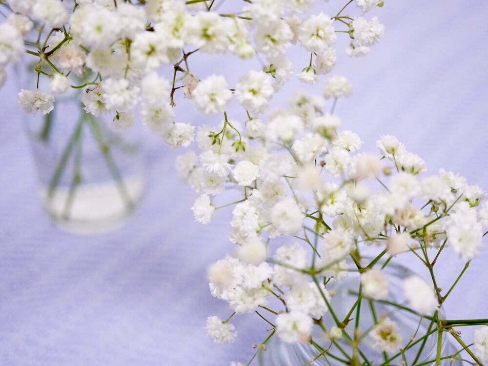 かすみ草　ドライフラワー　アレンジメント