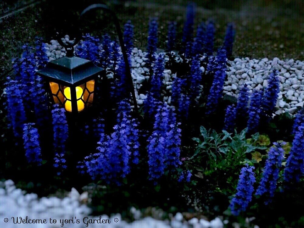 ガーデンライトで庭をライトアップ おしゃれな飾り方とは Greensnap グリーンスナップ