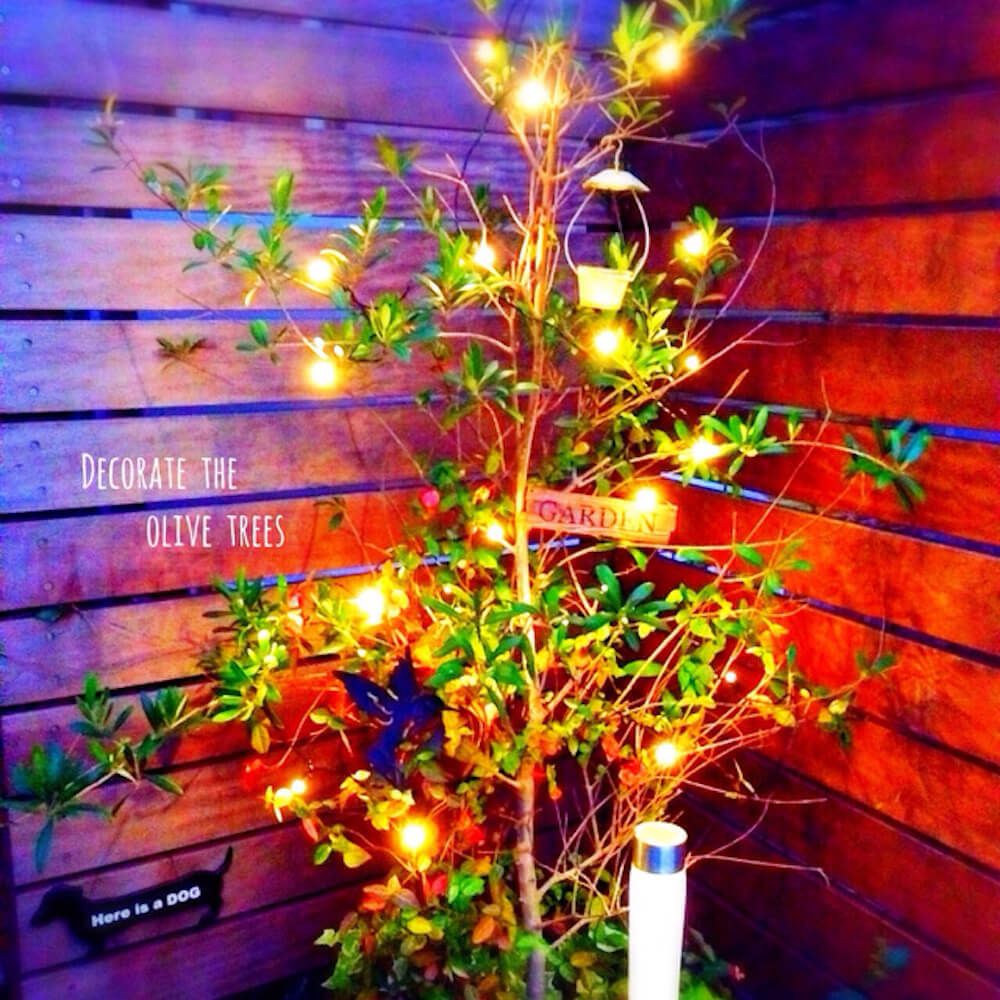 ガーデンライト　ガーデニング　イルミネーション　ソーラーライト