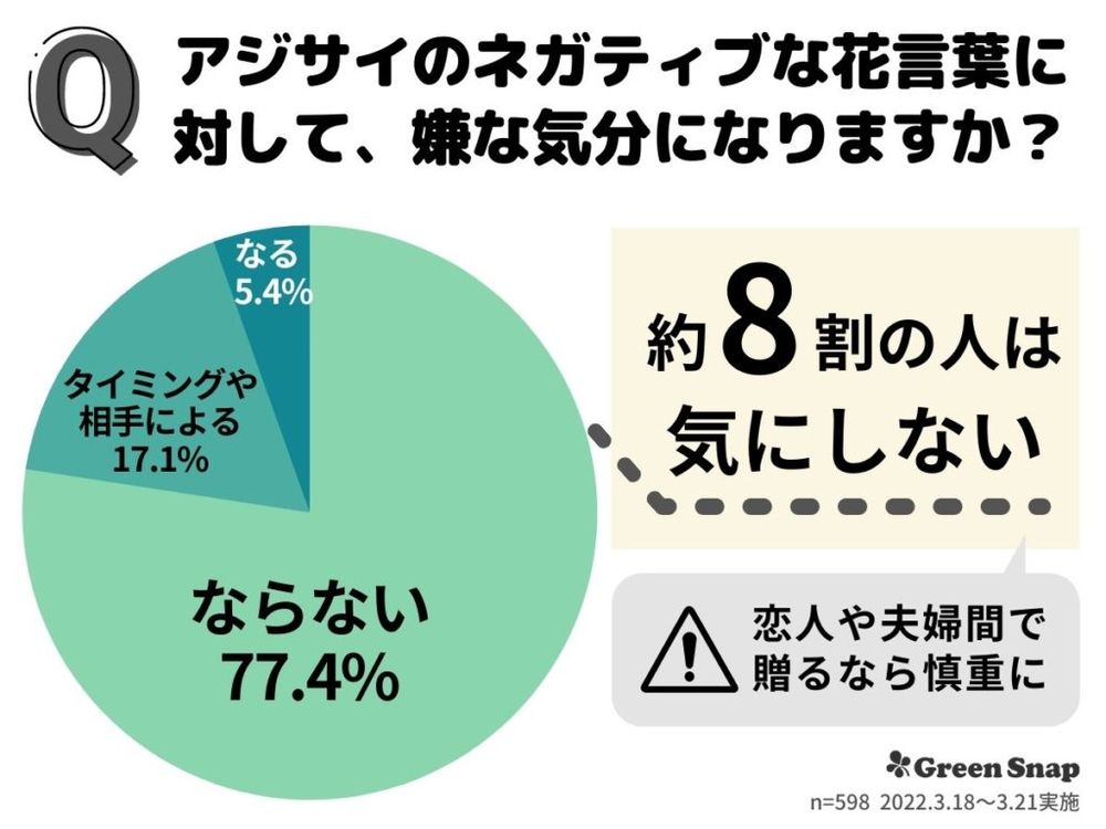 紫陽花のアンケート 紫陽花のネガティブな花言葉に対して、嫌な気分になりますか？