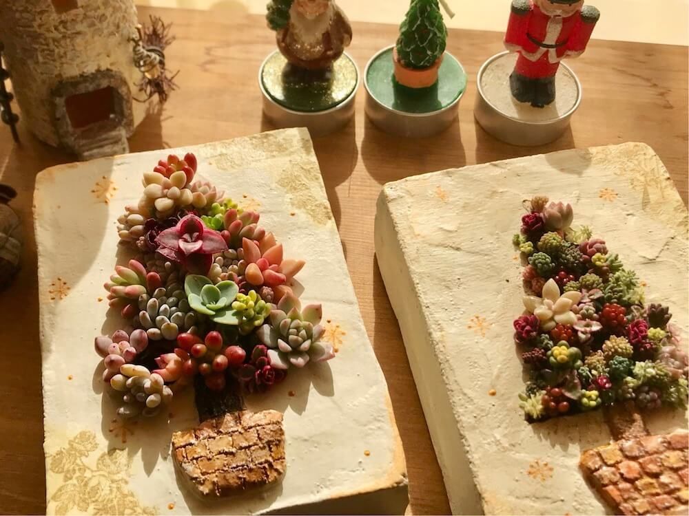 クリスマスツリー　多肉植物　多肉ツリー