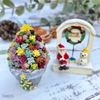 タニクリスマスツリーが話題！クリスマスは多肉植物を飾って楽しもう♫の画像