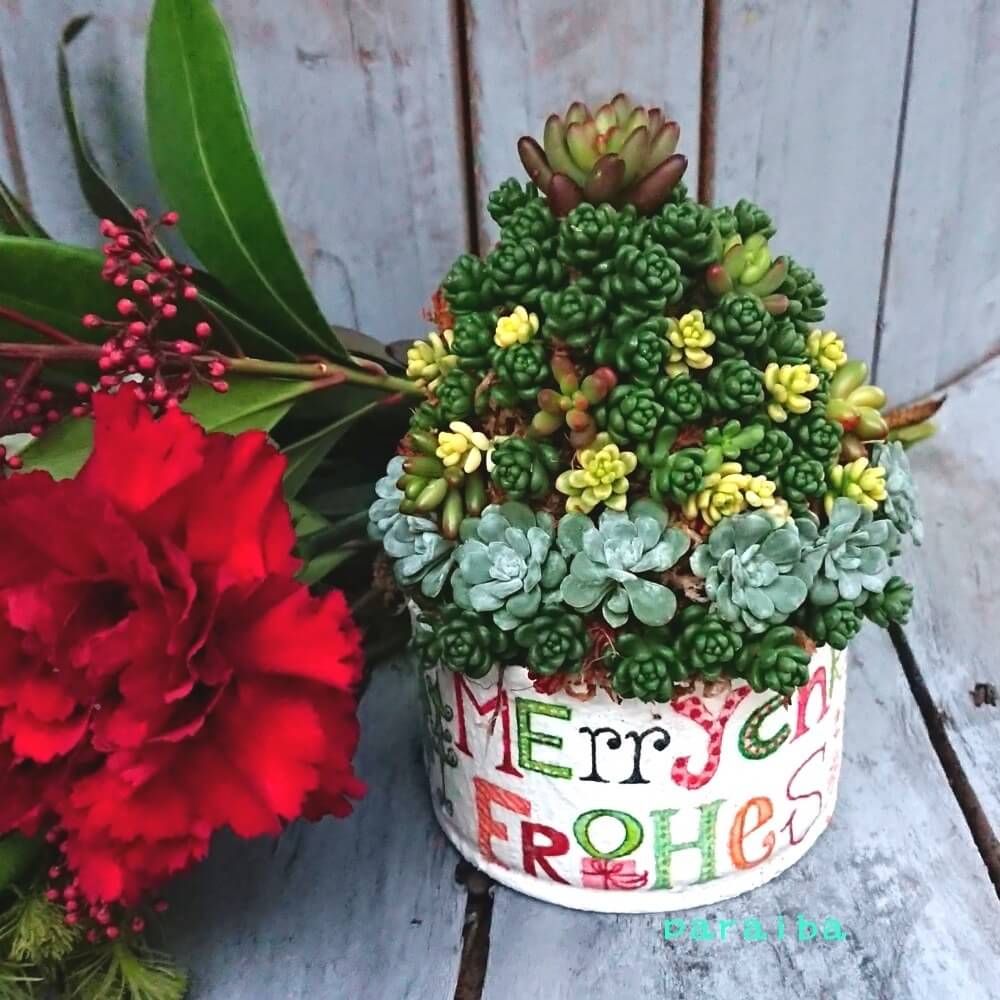 クリスマスツリー　多肉植物　多肉ツリー