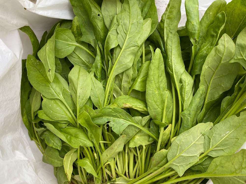 ほうれん草