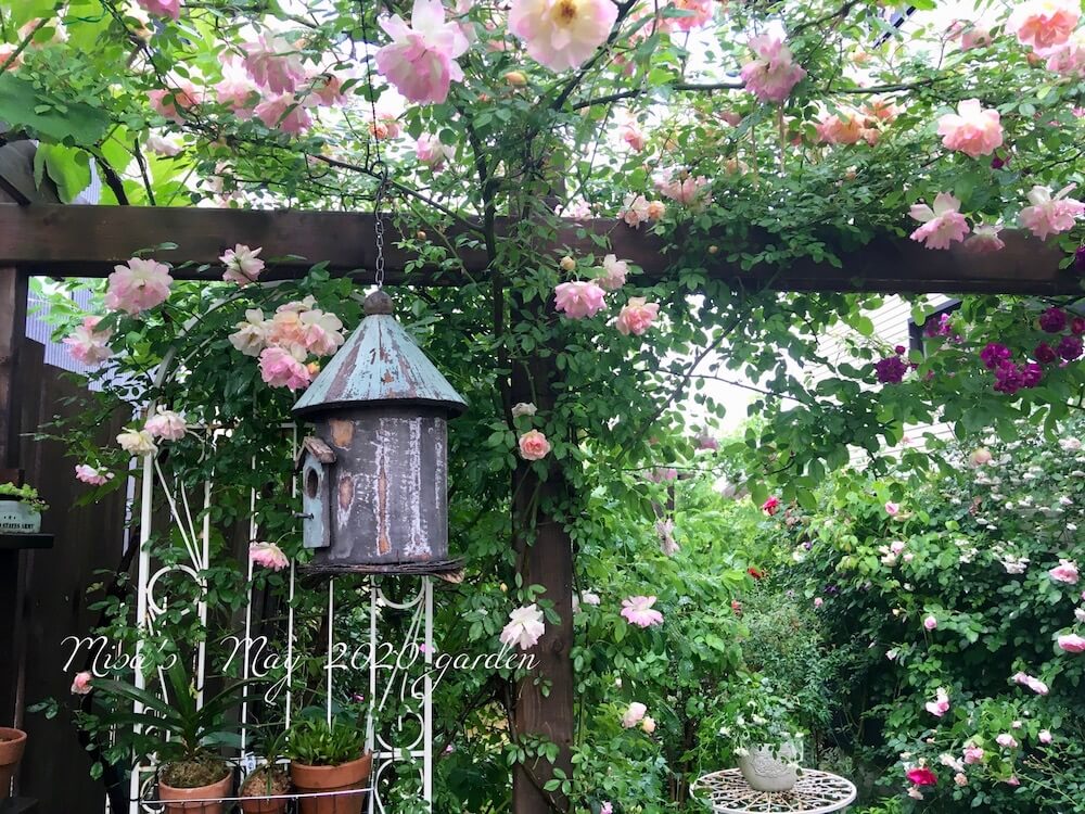 憧れのお庭へ つるバラのフェンスやアーチで素敵なガーデニングを楽しもう Greensnap グリーンスナップ