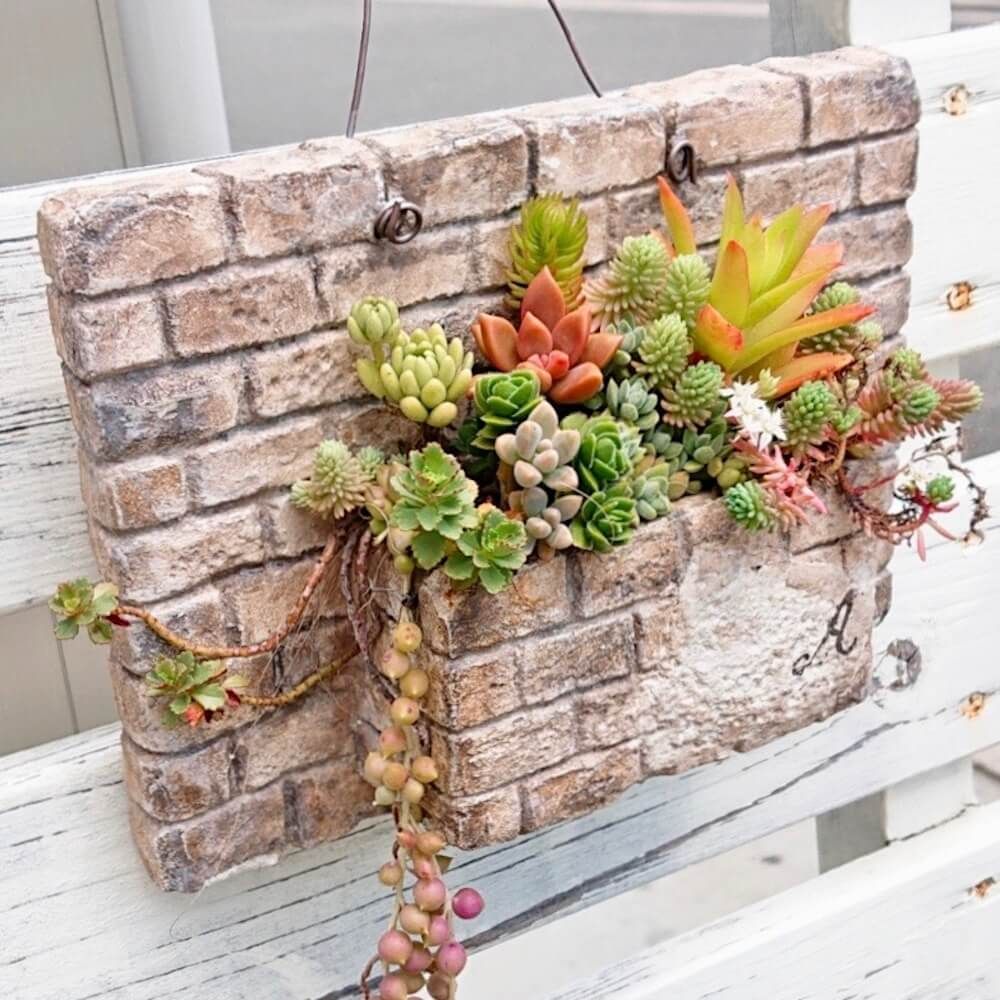 多肉植物　壁掛け　インテリア　