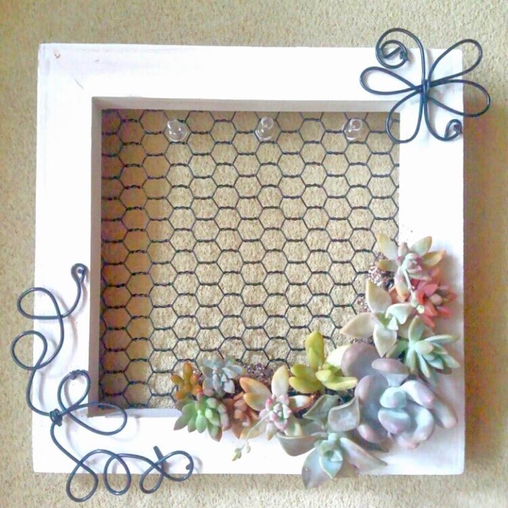 多肉植物　壁掛け　インテリア　