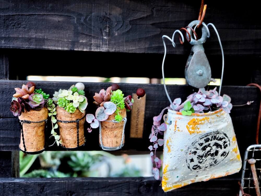 インテリアにおすすめ 多肉植物を壁掛けでかわいく飾るアイデア集 Greensnap グリーンスナップ