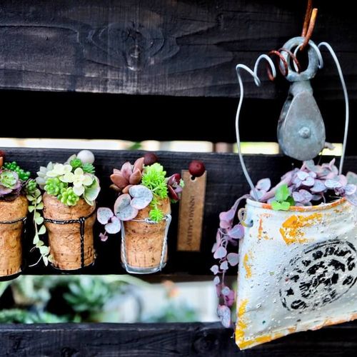 インテリアにおすすめ 多肉植物を壁掛けでかわいく飾るアイデア集 Greensnap グリーンスナップ