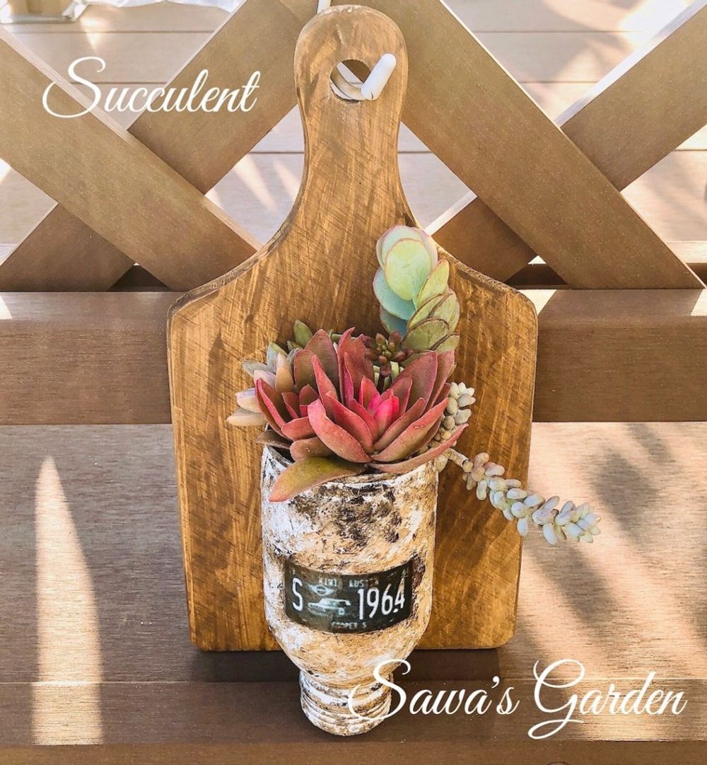 多肉植物　壁掛け　インテリア　