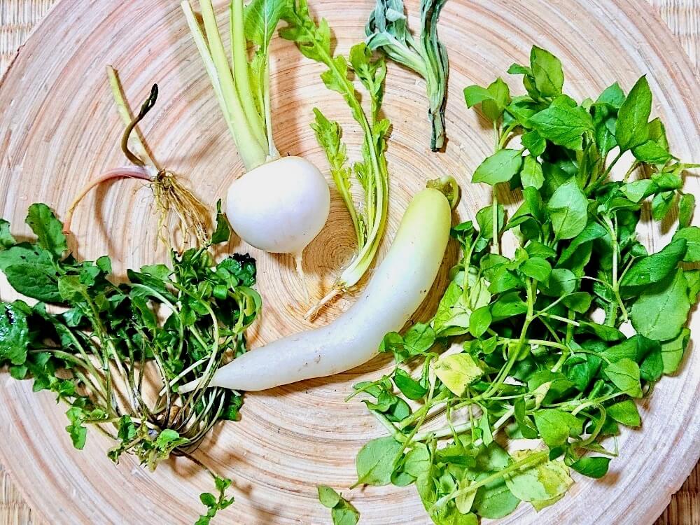 冬野菜の栽培 種まきはいつする 家庭菜園におすすめの種類10選 Greensnap グリーンスナップ