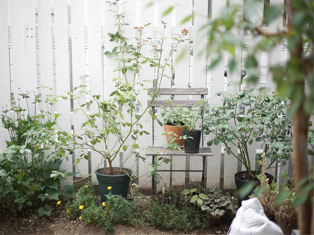 庭の目隠し方法！フェンスや植物でおしゃれな庭にするコツとは