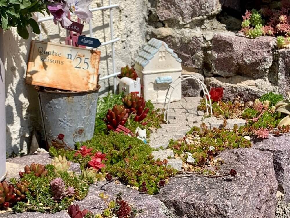 多肉植物　多肉花壇　ガーデニング