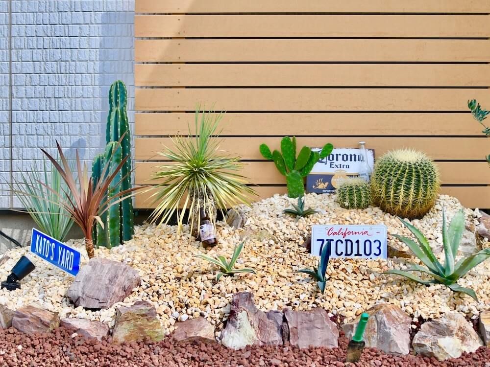 多肉植物　多肉花壇　ガーデニング